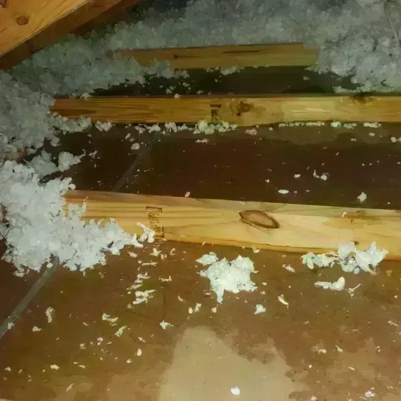 Attic Water Damage in Claypool Hill, VA